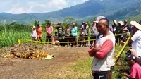 Pelaku Pembacokan Dua Pekerja Kebun di Banyuwangi Diduga Tetangga