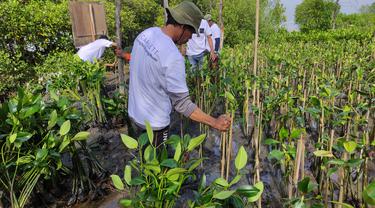 Gerakan Sejuta Pohon, Skincare Lokal ini Tanam 3000 Mangrove