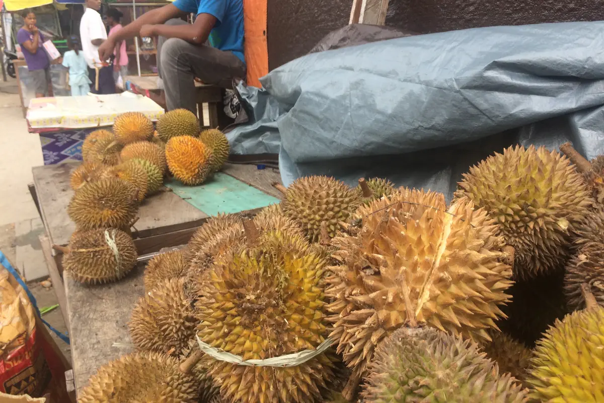 3 Barang yang Tak Laku Dijual di Ambon tapi Berharga Mahal di Aru
