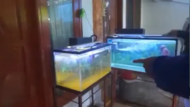 Rumah Opie Kumis