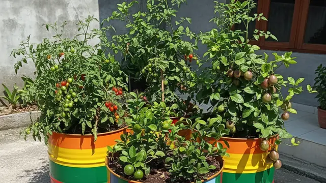 Desain Kebun Buah Mini di Rumah Sempit. AI