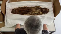 Ahli antropologi Chile, Veronica Silva memperlihatkan salah satu mumi tertua dari budaya kuno Chinchorro di National Museum of Natural History di Santiago, Chile (16/12). (AFP PHOTO/Martin Bernetti)