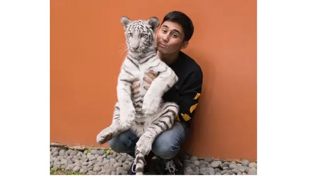 6 Momen Alshad Bareng 'Selen' Harimau Putih, Tangan Bengkak Karena Digigit