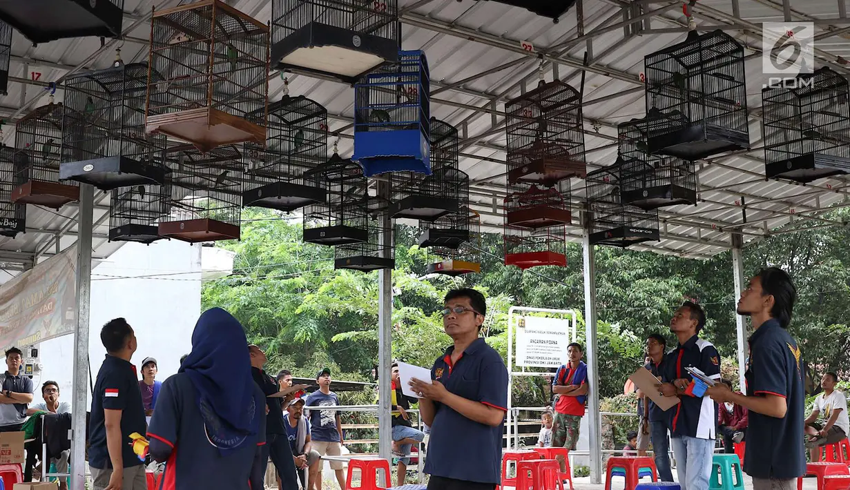 Juri saat menilai dalam lomba kicau burung di kawasan Kanal Banjir Timur, Jakarta, Rabu (29/8). Lomba yang diadakan komunitas pecinta burung itu menarik perhatian warga serta pengendara yang melintas di kawasan tersebut. (Liputan6.com/Immanuel Antonius)