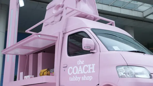 The Coach Tabby Tour