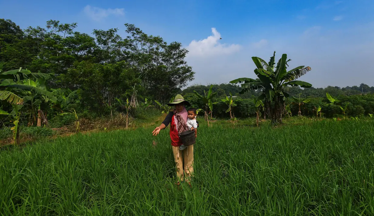 Menteri Pertanian Amran Sulaiman menegaskan bahwa petani tidak boleh dipersulit untuk mengakses sarana dan prasarana (sarpras) pertanian, khususnya pupuk bersubsidi. (merdeka.com/Arie Basuki)