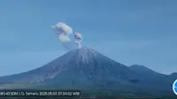Gunung Semeru erupsi lagi, tinggi letusan 700 hingga 900 meter (Istimewa)