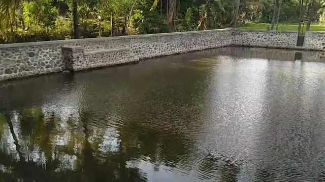 Petani di Situbondo Juga Manfaatkan Embung untuk Tanaman Organik dan ...