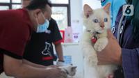 Warga membawa kucing saat pelaksanaan vaksinasi antirabies di Pusat Kesehatan Hewan (Puskeswan) Kota Tangerang, Banten, Rabu (3/3/2021). Sebanyak 500 hewan mendapat vaksin antirabies yang diberikan oleh Pemerintah Kota Tangerang melalui Dinas Ketahanan Pangan. (Liputan6.com/Angga Yuniar)
