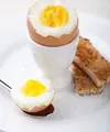 Short Desc