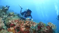 Diving menjadi salah satu agenda yang dilakoni tim Terios 7 Wonders di Pantai Puru Kambera di Sumba Timur, NTT. (ist)