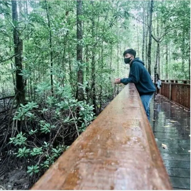 Dilarang Bawa Mantan Tapi Boleh Selingkuh di Ekowisata Mangrove Pomako Mimika