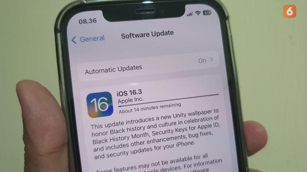 Update iOS 16.3