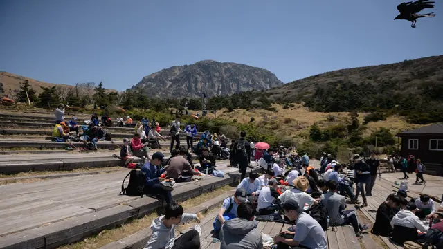 Pesona Menakjubkan Pulau Jeju Korea Selatan
