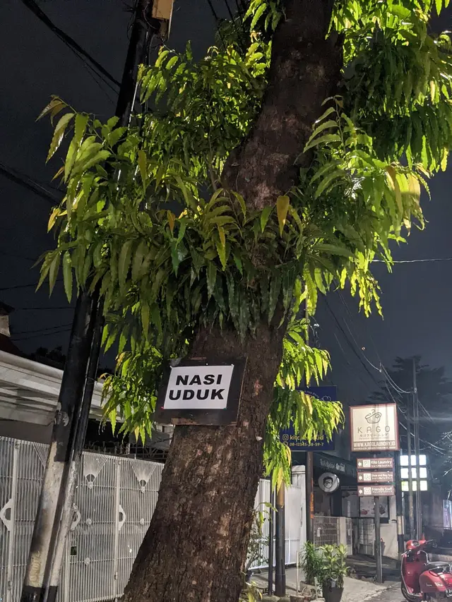 6 Tulisan Nyeleneh di Pohon Ini Tidak Jelas, Bikin yang Baca Jadi Bingung