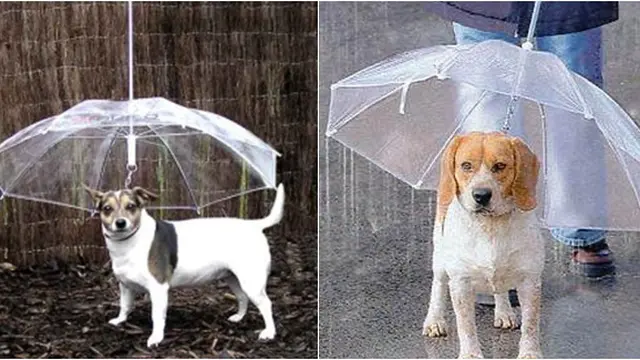 (c) incrediblethings.com