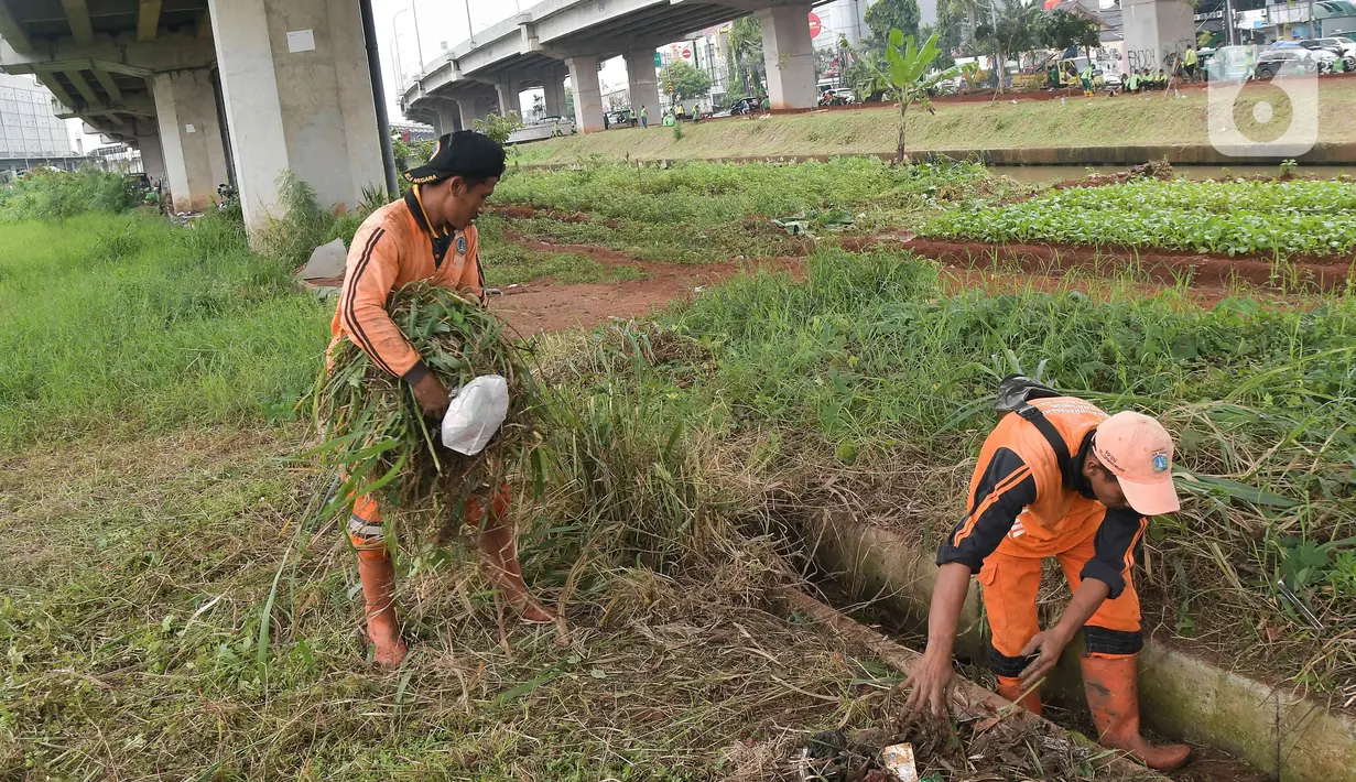 Sejumlah petugas Suku Dinas Pertamanan dan Hutan Kota merapikan lahan yang akan dibuat menjadi kawasan hijau di bawah kolong Tol Becakayu atau Bekasi-Cawang-Kampung Melayu, Jakarta, Kamis (5/1/2023). Pemprov DKI telah melakukan penataan kawasan hijau sepanjang 2,7 km dari target 5 km di kolong Tol Becakayu dengan tanaman hias dan sistem pertanian perkotaan (urban farming) yang berdampak pada sektor ketahanan pangan kota. (Liputan6.com/Herman Zakharia)