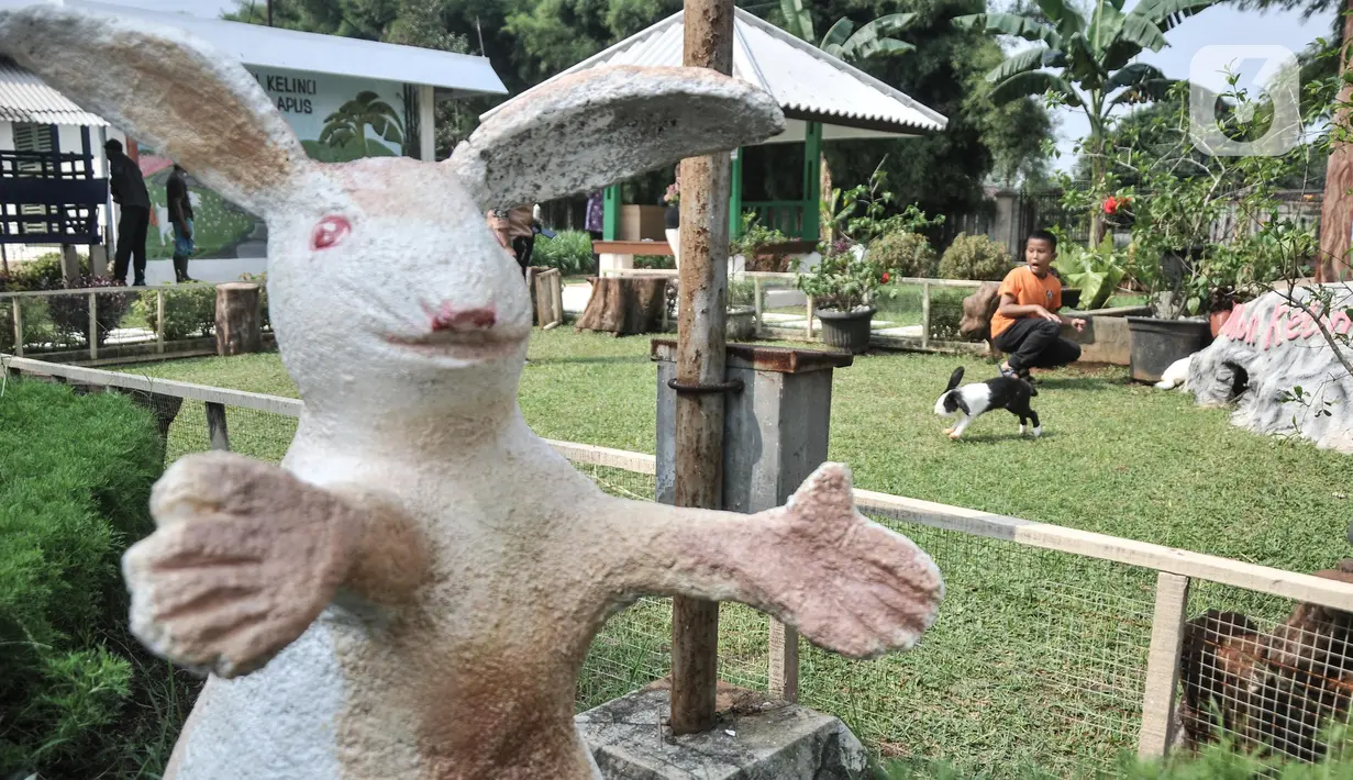 Warga saat berkunjung ke Taman Kelinci Bambu Apus, Pusat Pelayanan Kesehatan Hewan dan Peternakan (Pusyankeswannak), Cipayung, Jakarta Timur, Kamis (30/6/2022). Dinas Ketahanan Pangan, Kelautan dan Pertanian (KPKP) DKI Jakarta membuka kembali Taman Kelinci Bampu Apus usai ditutup selama 2 tahun akibat pandemi covid-19. (Liputan6.com/Iqbal S Nugroho)