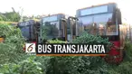 Puluhan bus Transjakarta terbengkalai sejak tahun 2015 di pool PPD. Bus-bus tersebut kini dalam kondisi memprihatinkan karena rusak dan tidak terurus. Belum ada keterangan resmi baik dari PPD mauoun pihak pengelola Transjakarta mengenai keberadaan bu...