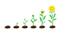 Ilustrasi progres, kemajuan. (Image by pch.vector on Freepik)