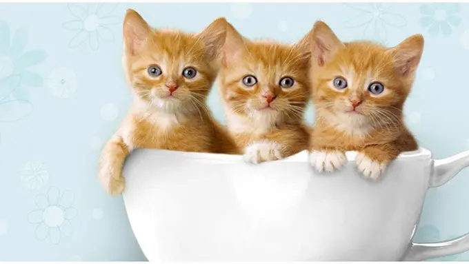 Foto: Copyright media.moddb.com