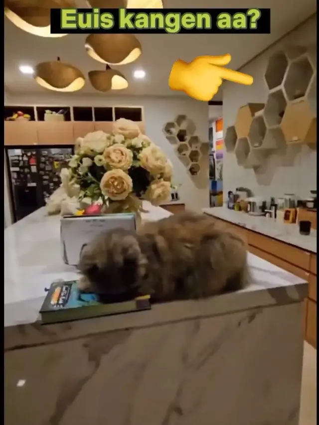 Potret dapur rumah Ridwan Kamil (Sumber: Instagram/@ataliapr)