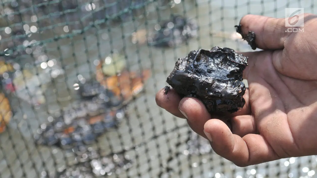 Tumpahan Minyak Pertamina Cemari Perairan Muara Gembong