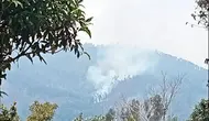 Cerita Tim Pemadam Cari Mata Air Usai Dikepung Titik Api di Argopuro