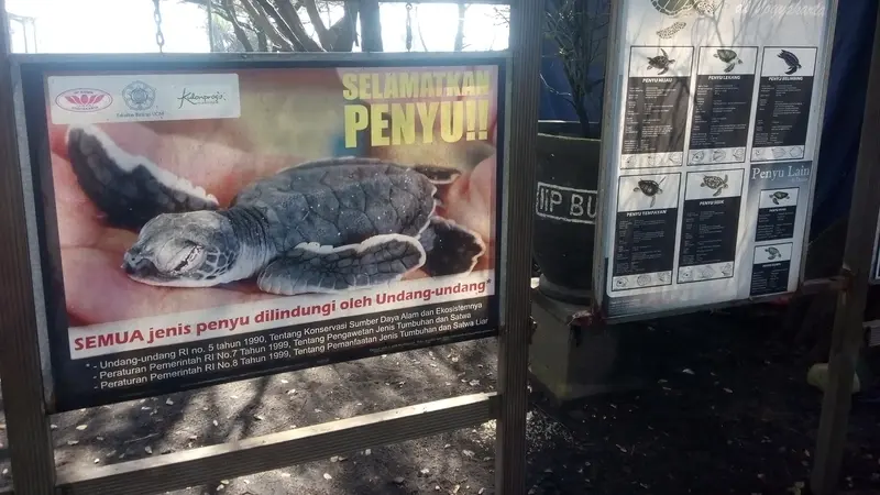 Udara pagi di pantai Trisik