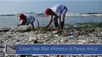 Bibir Pantai Ancol mendadak dipenuhi jutaan bangkai ikan yang membuat udara di kawasan rekreasi tersebut menjadi bau amis dan berikut empat gejala Gangguan ginjal. Saksikan videonya di sini  