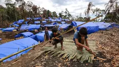 Dua orang Suku Baduy Luar sedang membuat dinding dari bambu di Kampung Cisaban II, Desa Kanekes, Banten, Kamis (01/6). Warga Baduy Luar mulai membangun kembali rumah mereka yang terbakar beberapa waktu lalu. (Liputan6.com/Fery Pradolo)