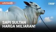 Sapi bernama Viatina-19 menjadi "sapi sultan" dengan harga fantastis Rp 41 Miliar! sapi ini hasil teknologi breeding canggih dan menjadi rahasia Brasil sebagai rajanya ekspor daging sapi.
