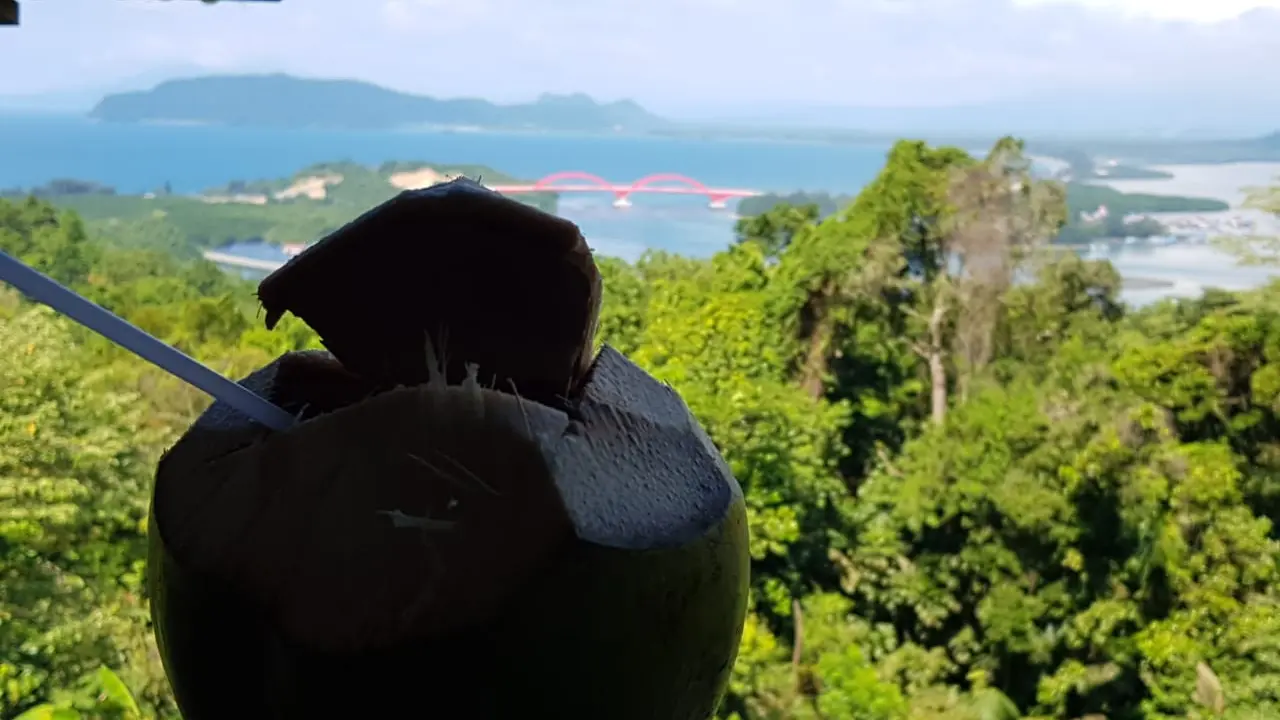 kelapa muda Skyline