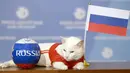 Aksi kucing bernama Achilles saat memprediksi hasil pertandingan Rusia dan Arab Saudi di Saint Petersburg, Rusia, Rabu (13/6). Seorang dokter hewan, Anna Kondratyeva mengatakan Achilles punya insting lebih baik dari kucing lainnya. (Olga Maltseva/AFP)