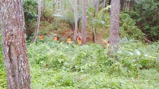 Pemburu Anoa di Hutan Kolaka Diduga Raib Diculik Jin