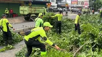 60 Pohon Dipangkas Antisipasi Tumbang Saat Cuaca Ekstrem di Jakbar
