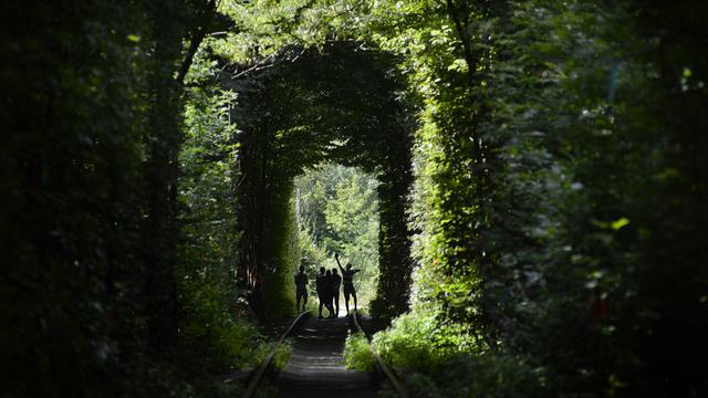 Wow, Bekas Jalur Kereta Api Ini Jadi Terowongan Cinta