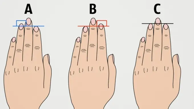 3 Tipe Kepribadian Seseorang yang Tercermin dari Panjang Jari