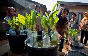 Ide Ternak Lele Ember untuk Ibu-Ibu PKK Modal Kecil (AI)