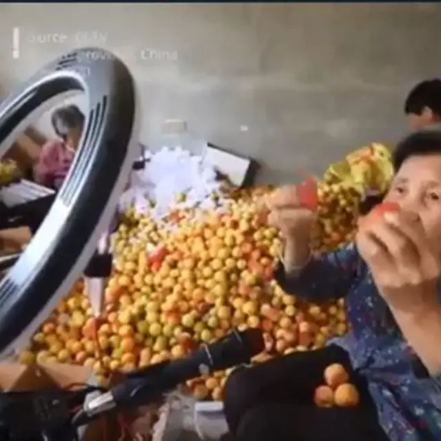 Apricot