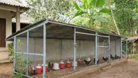 6 Desain Kandang Ayam Postal Baja Ringan yang Tahan Lama dan Minim Perawatan