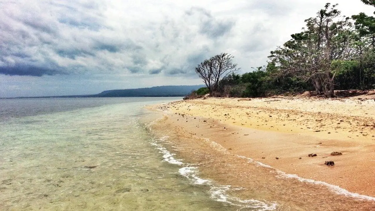 Surganya Biota Laut Indonesia, Pulau Tabuhan Banyuwangi Simpan Pesona Menakjubkan