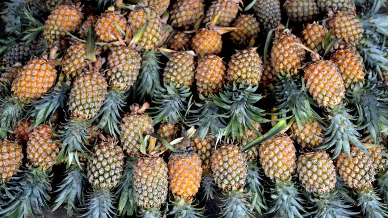 Kulit nanas
