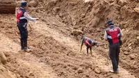 Polres Lumajang kerahkan Unit K9 cari korban tanah longsor  (Istimewa)