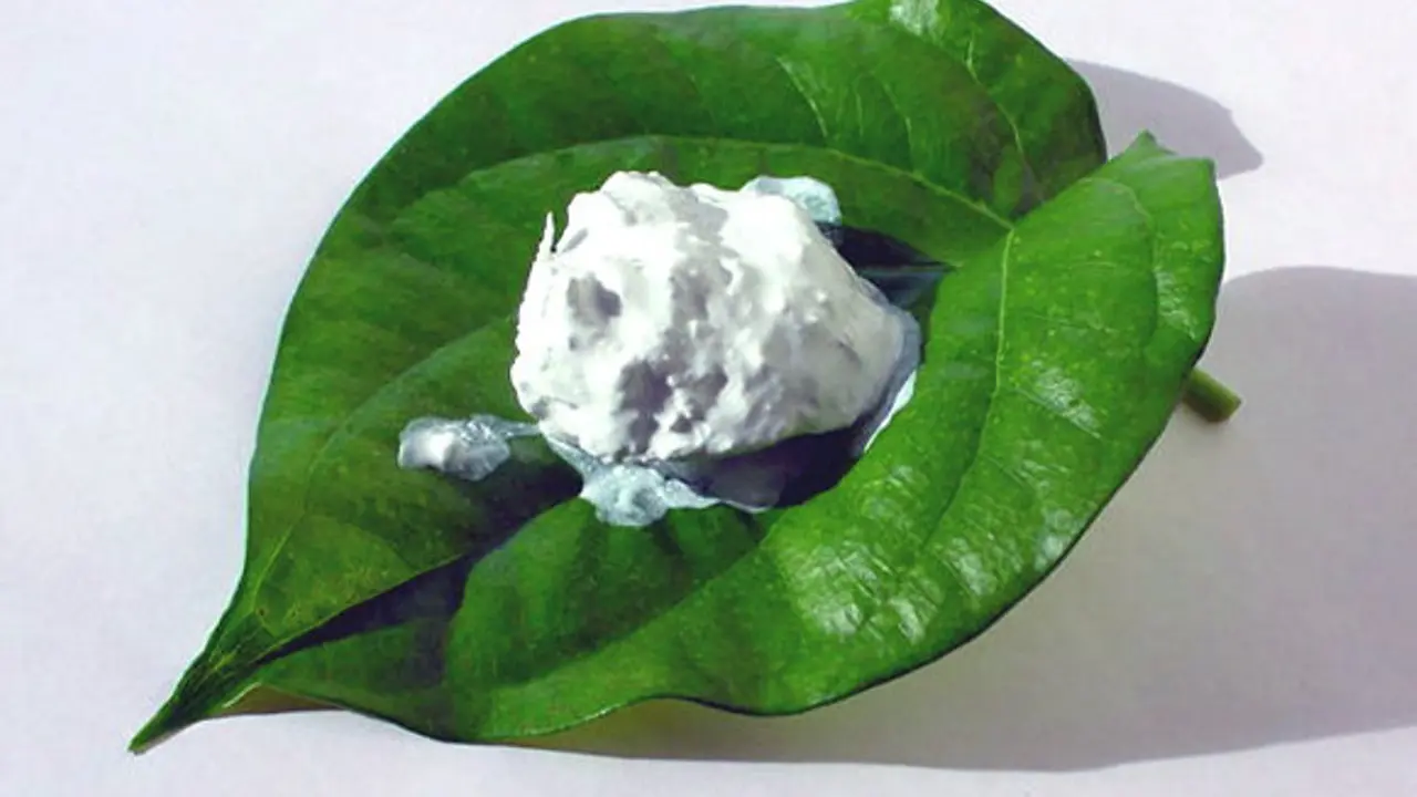 Manfaat Kapur Sirih