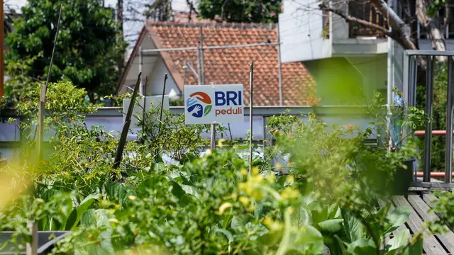    Peringati Hari Pangan Sedunia, BRI Peduli Ajak Warga Bandung Panen Bersama lewat Program BRInita 