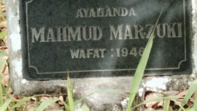 Mahmoed Marzuki