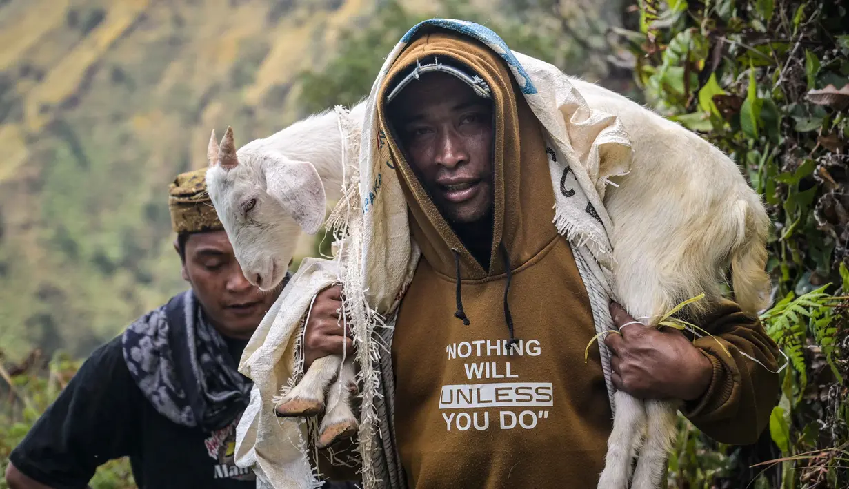 Seorang pria membawa seekor kambing sebagai persembahan saat berjalan mendaki Bukit Widodaren menjelang upacara Yadnya Kasada di kaki Gunung Bromo, Jawa Timur, pada Minggu 31 Mei 2026. (JUNI KRISWANTO/AFP)