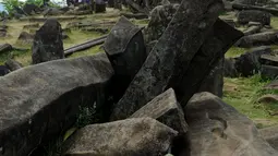 Sebuah batu berlambang Kujang (senjata khas Jawa Barat), terdapat di areal situs Gunung Padang di Kampung Cimanggu, Cianjur, Jawa Barat, (19/9/2014). (Liputan6.com/Helmi Fithriansyah)