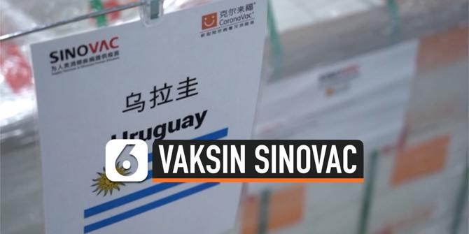 VIDEO: Vaksin Sinovac Jadi Vaksin Asal China Pertama Ditinjau di Uni Eropa
